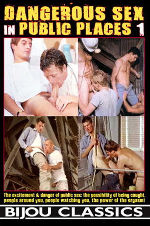 Dangerous Sex in Public Places 1 (2016) poster