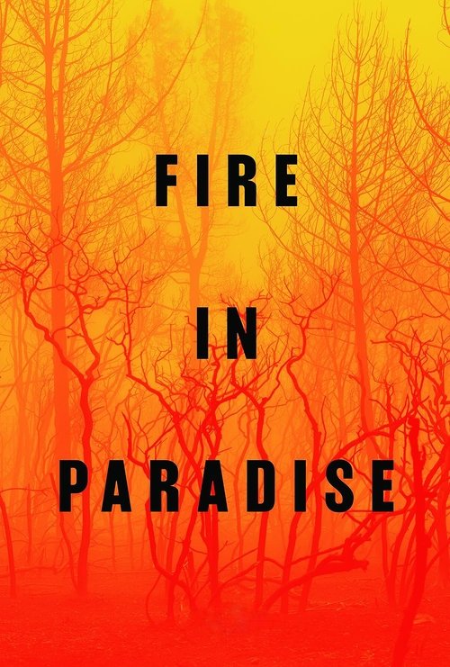 Fire in Paradise (2019) poster