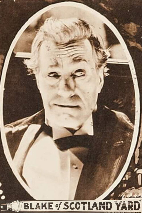 Blake of Scotland Yard (1927) poster
