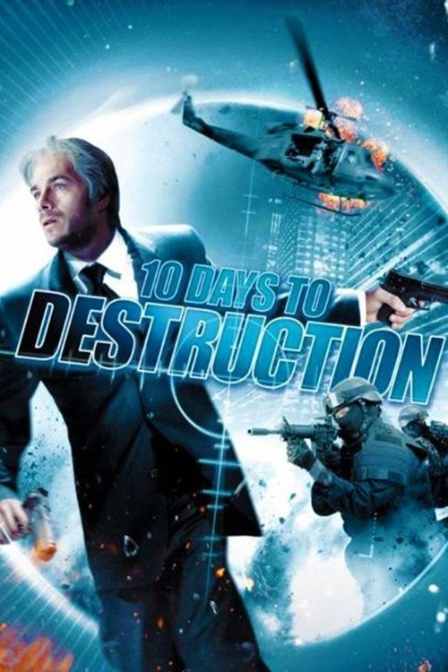 The Flight of the Swan (2011) poster