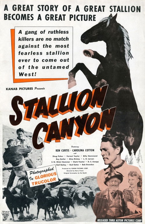 Stallion Canyon (1949) poster