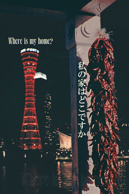 Where Is My Home? (2025) poster