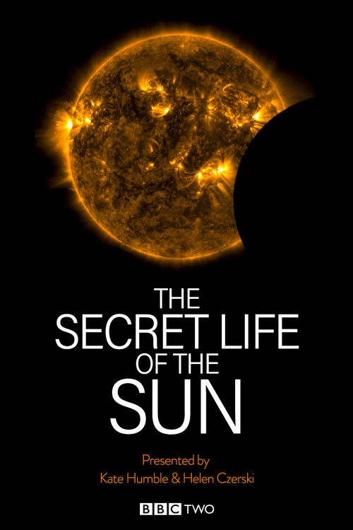 The Secret Life of the Sun (2013) poster