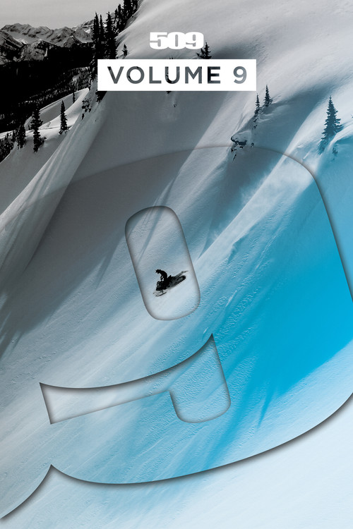 509 Films: Volume 9 (2014) poster