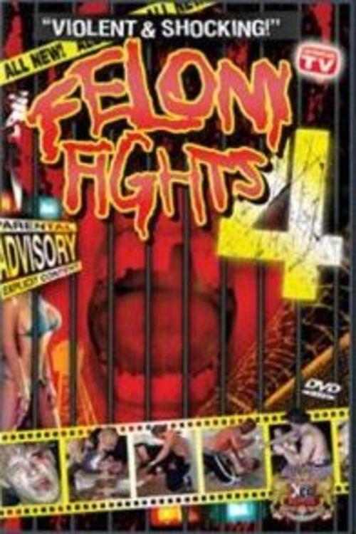Felony Fights 4: Down and Dirty (2005) poster