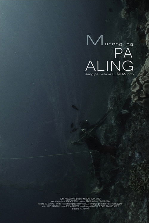 Man of Pa-Aling (2017) poster