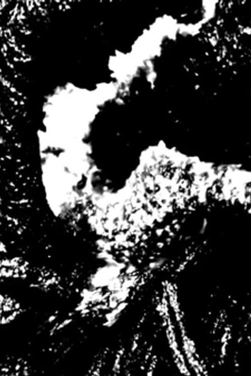 Apenas um Gesto Ainda nos Separa do Caos (2017) poster