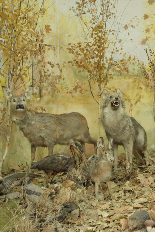 Tears Will Remain (2022) poster