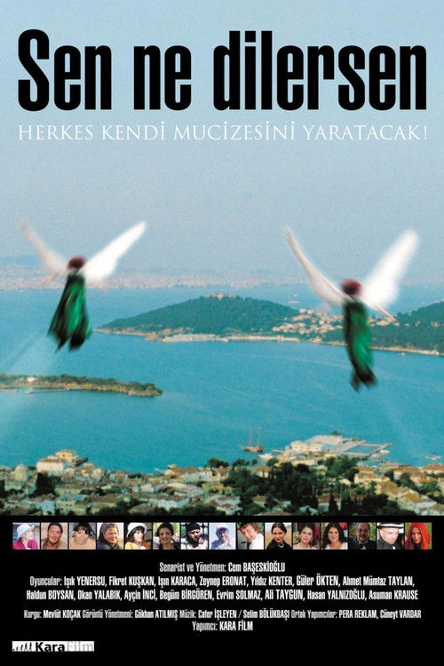 Sen Ne Dilersen (2005) poster