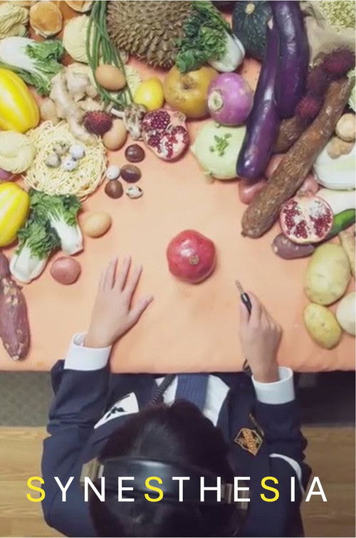 Synesthesia (2009) poster