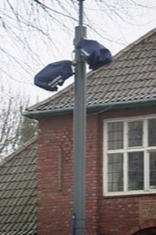 Defeat of the Champion (2011) poster