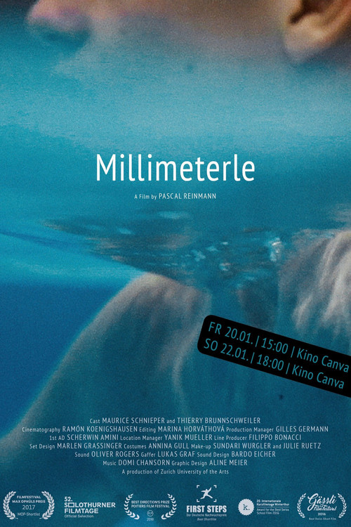 Millimeterle (2017) poster