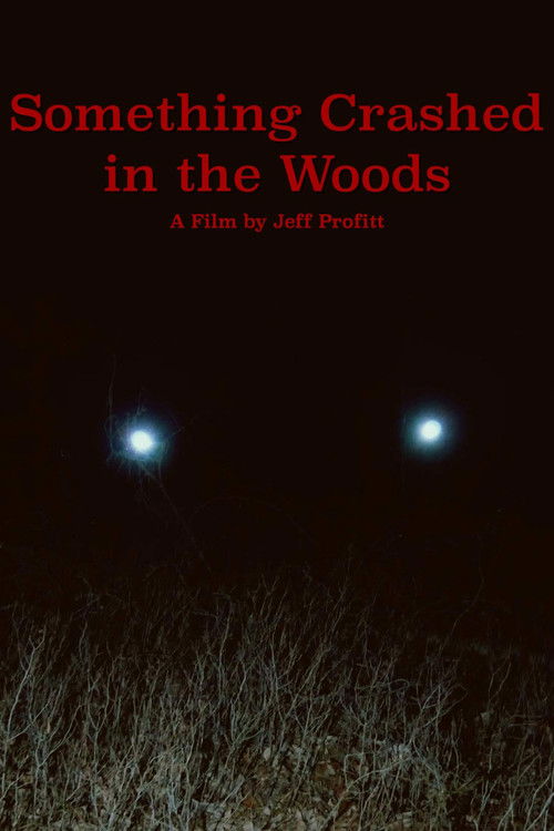 Something Crashed in the Woods (2019) poster