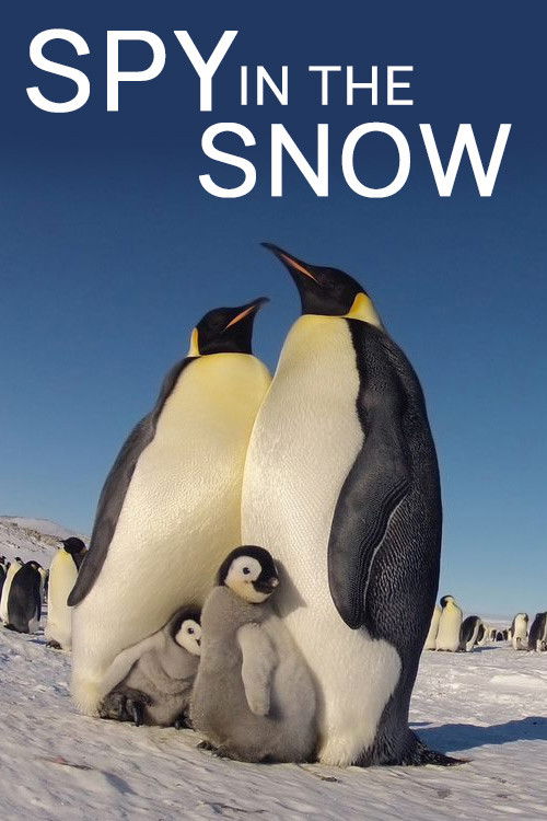 Spy in the Snow (2018) poster