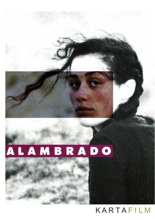 Alambrado (1991) poster