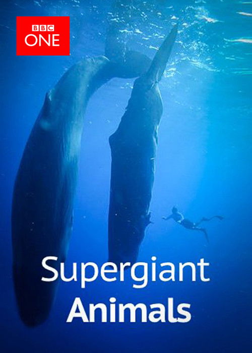 Supergiant Animals (2013) poster