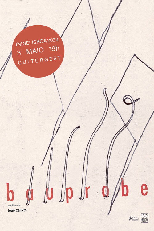 BAUPROBE (2023) poster