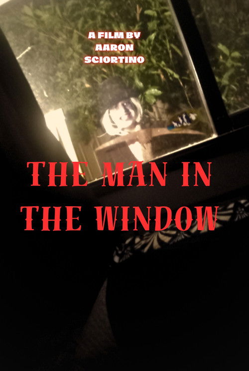 The man in the window (2024) poster