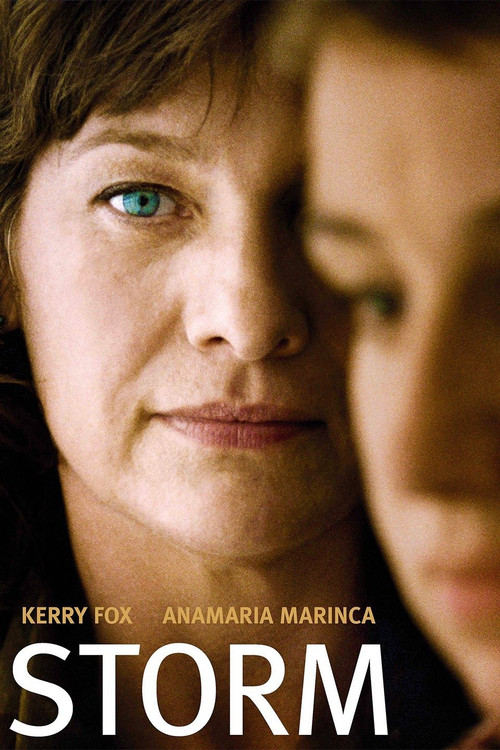 Storm (2009) poster