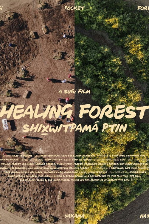Healing Forest (2024) poster