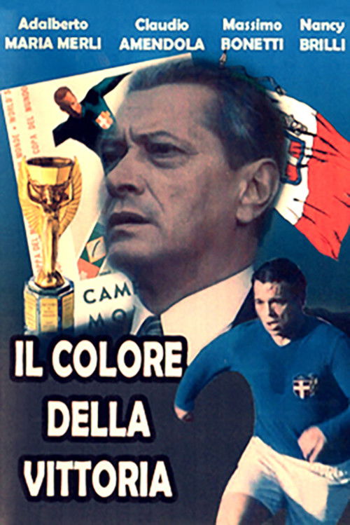 Il colore della vittoria (1990) poster