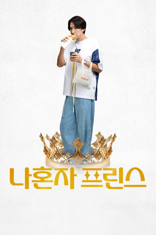나혼자 프린스 (2025) poster