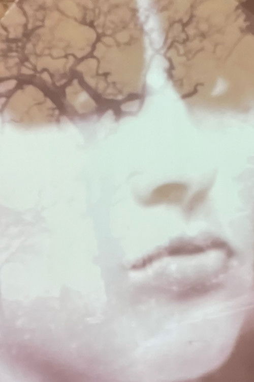 Ma femme (1970) poster