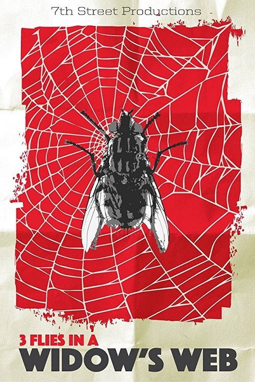 3 Flies in a Widow's Web (2016) poster