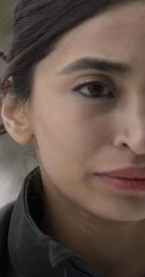 Ascension (2014) poster