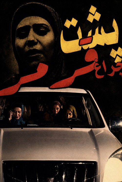 پشت چراغ  قرمز (2009) poster
