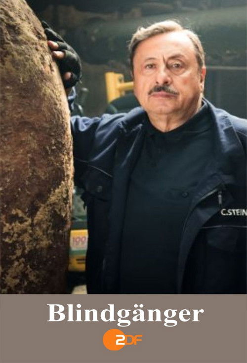 Blindgänger (2015) poster