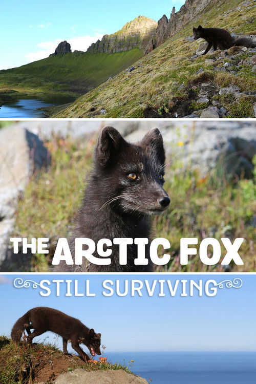 The Arctic Fox: Still Surviving (2015) poster