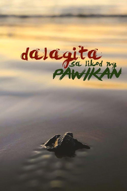 Dalagita sa Likod Pawikan (2020) poster