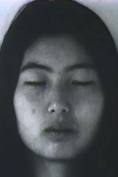 Permutations (1976) poster