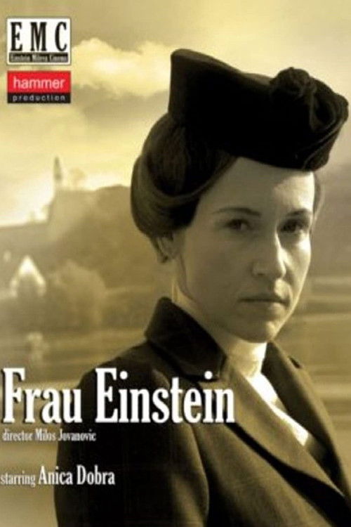 Frau Einstein (2011) poster