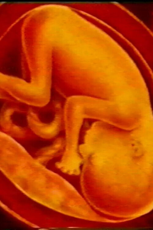 Opus Incertum (2002) poster