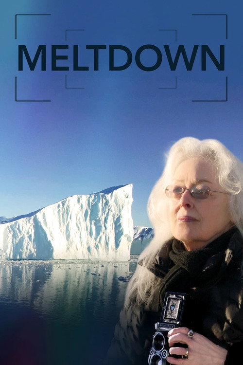 Meltdown (2021) poster