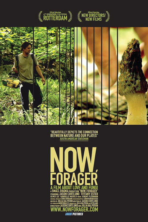 Now, Forager (2012) poster