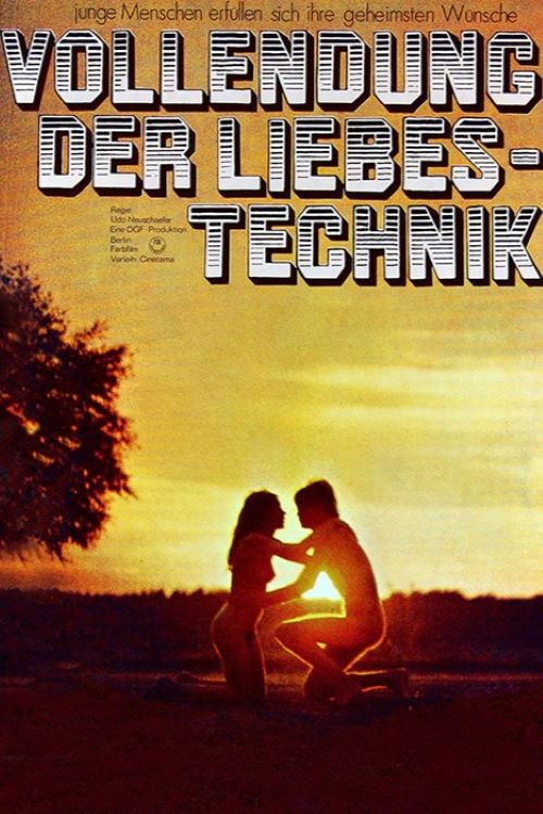 Vollendung der Liebestechnik (1970) poster