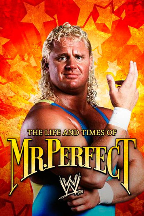 The Life and Times of Mr. Perfect (2008) poster