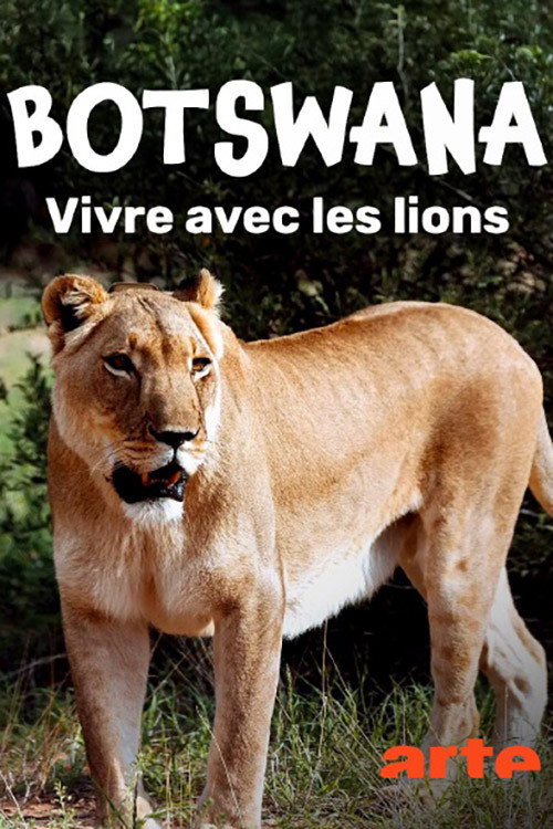 Botswana, Leben mit Löwen (2026) poster
