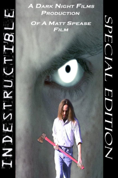 Indestructible (2009) poster