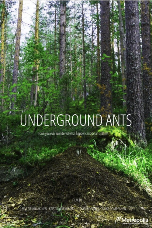Underground Ants (2024) poster
