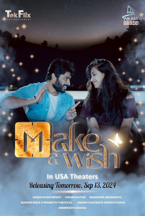 Make a Wish (2024) poster