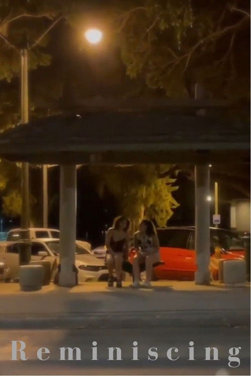 Reminiscing (2022) poster