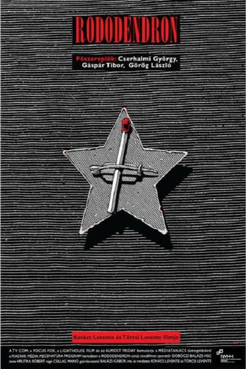 Rododendron (2020) poster