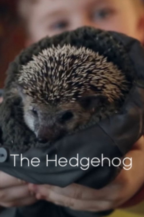The Hedgehog (2011) poster