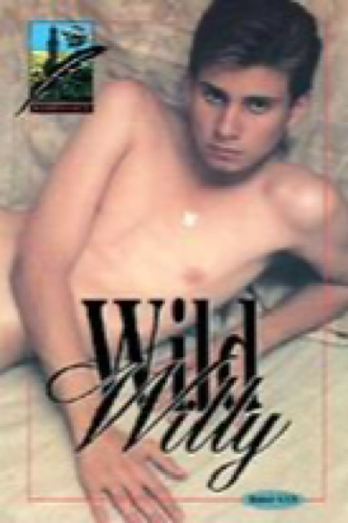 If Six Boys Have Sex (1995) poster