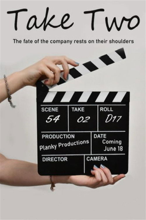 Take Two (2024) poster
