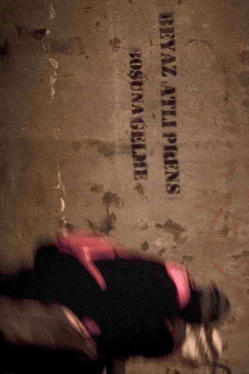 Beyaz Atlı Prens Boşuna Gelme (2009) poster